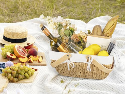 Cesta de Picnic con Comida de Madera Plegable Mochila para 4 Personas con Ruedas