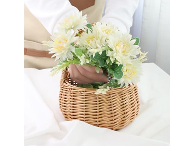 Mochila de Picnic de Vino y Queso Cesta Plegable Transporte Grande con Tapa